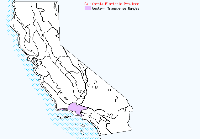 bioregional map for HEMIZONIA%20minthornii being generated