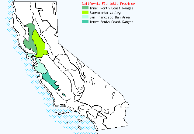 bioregional map for NAVARRETIA%20cotulifolia being generated