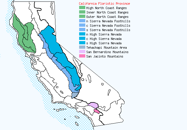 bioregional map for CHIMAPHILA%20umbellata being generated