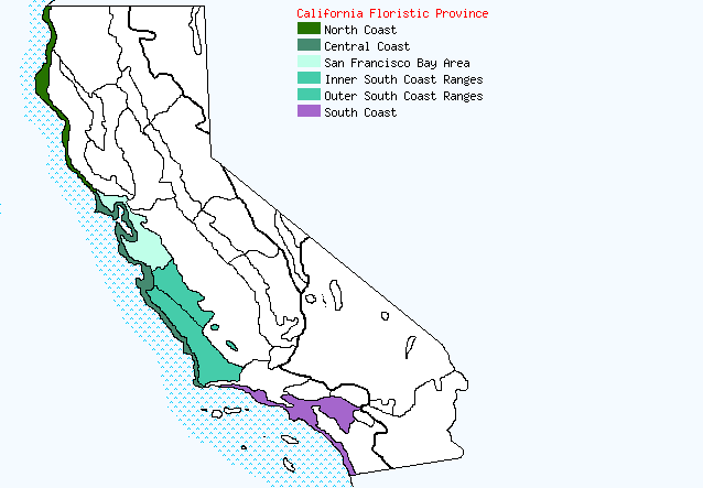 bioregional map for SALPICHROA being generated