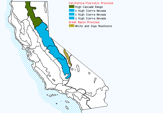 bioregional map for CAREX%20capitata being generated