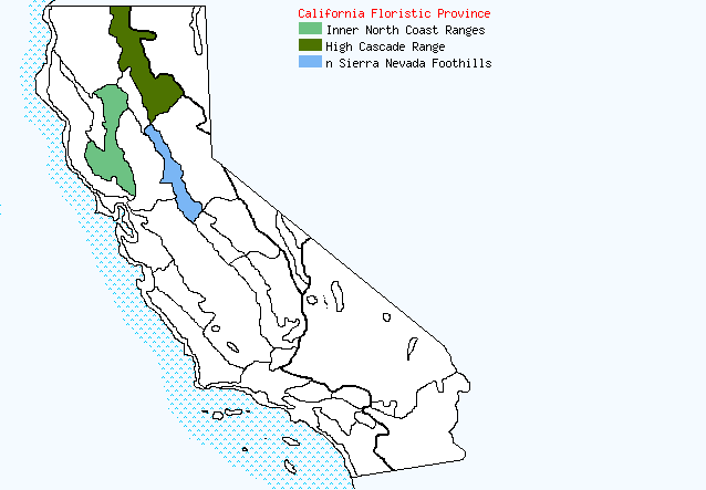 bioregional map for CUPRESSUS%20macnabiana being generated