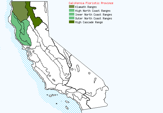 bioregional map for PHACELIA%20corymbosa being generated
