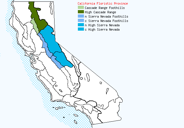 bioregional map for WHITNEYA%20dealbata being generated
