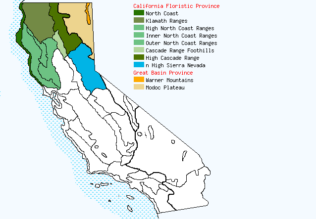 bioregional map for SENECIO%20eurycephalus being generated