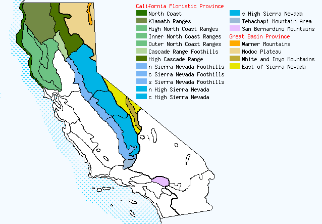 bioregional map for SAGITTARIA%20cuneata being generated