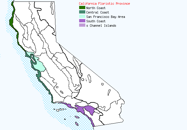 bioregional map for DESMAZERIA being generated