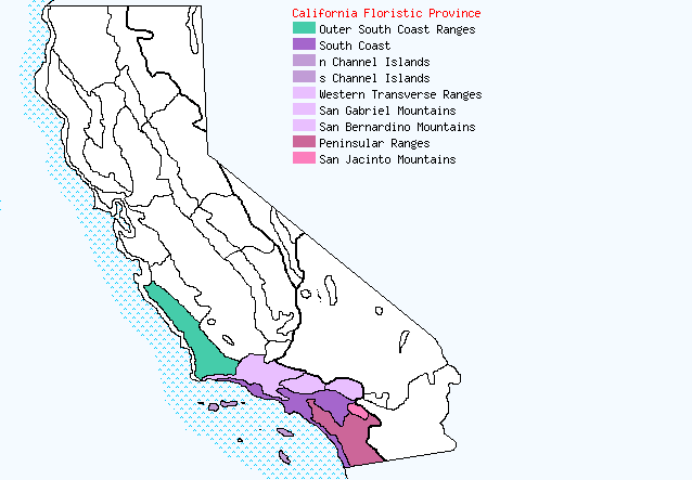 bioregional map for VENEGASIA being generated