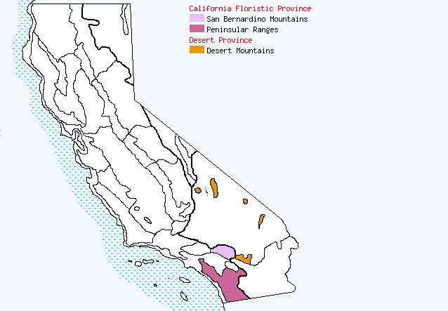 bioregional map for QUERCUS%20cornelius-mulleri being generated