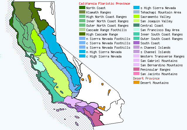 bioregional map for CICHORIUM being generated