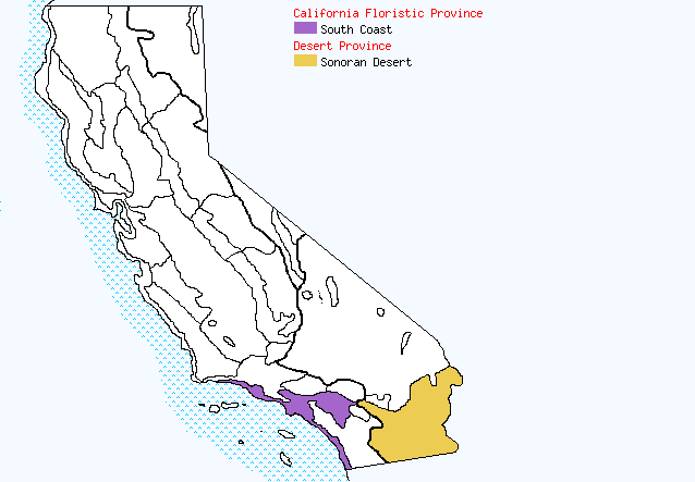bioregional map for LYCIUM%20parishii being generated