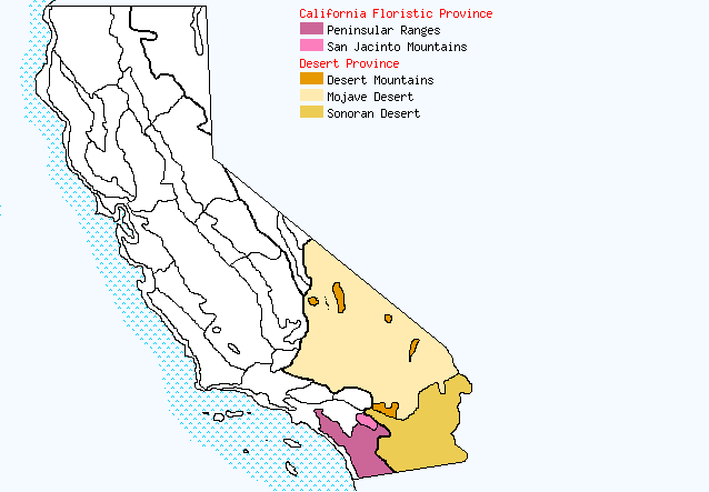 bioregional map for CHAMAESYCE%20revoluta being generated