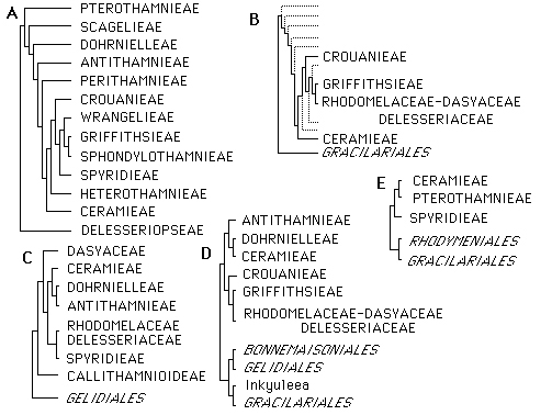 Athanasiadis Figure 15