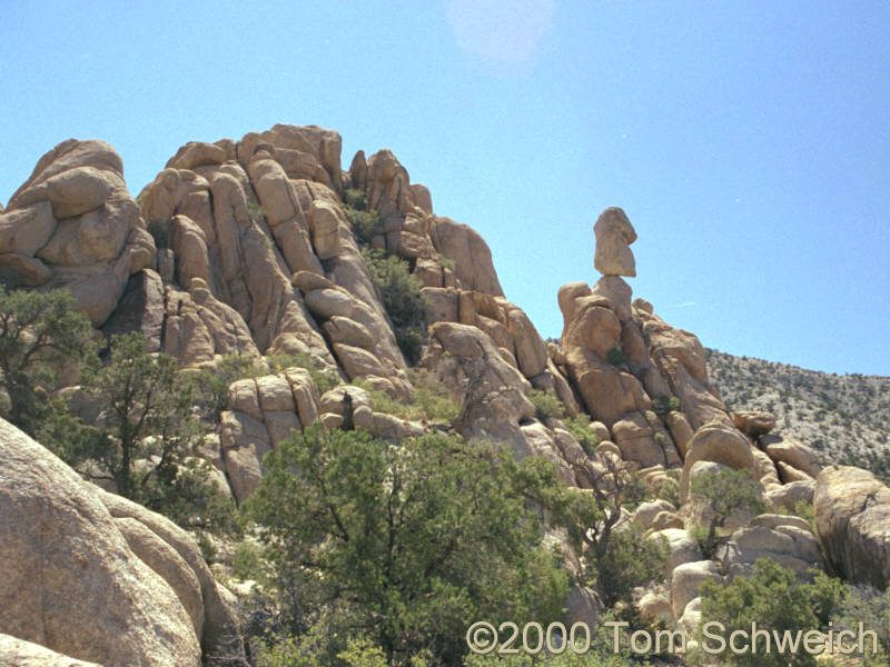 Caruthers Canyon, New York Mountains, San Bernardino County, California