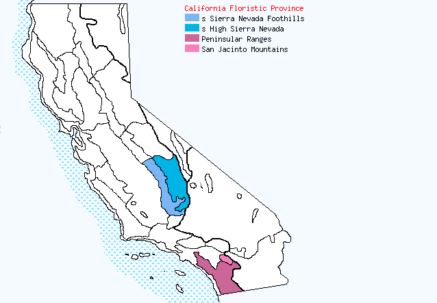 bioregional map for CUPRESSUS%20arizonica being generated
