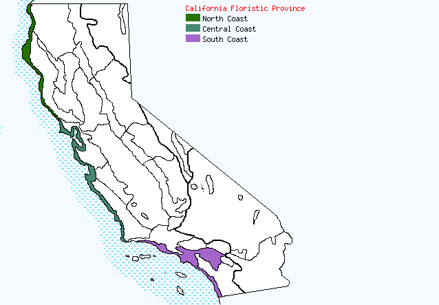 bioregional map for CYMBALARIA%20muralis being generated