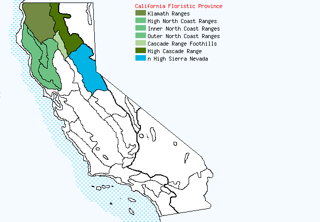 bioregional map for PELLAEA%20brachyptera being generated