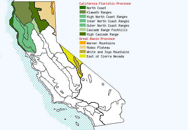 bioregional map for PHOENICAULIS being generated