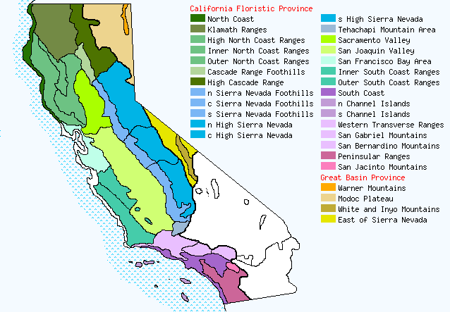 bioregional map for NAVARRETIA being generated