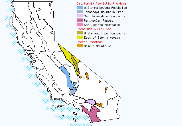 bioregional map for CELTIS%20reticulata being generated
