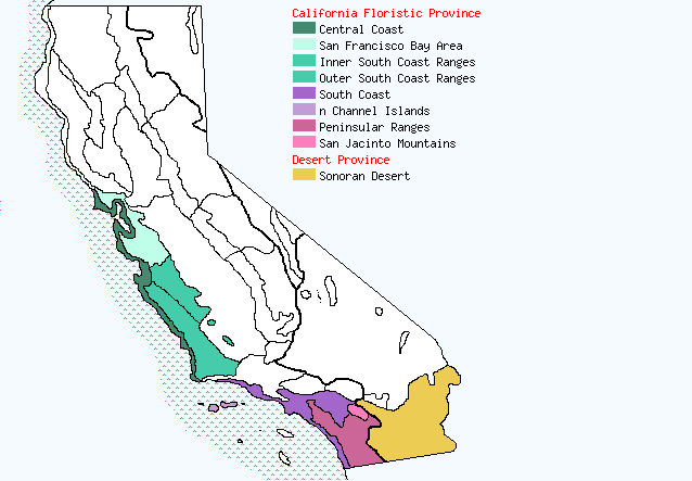 bioregional map for PETUNIA being generated