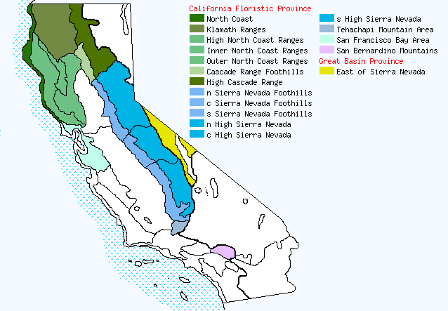 bioregional map for SAMBUCUS%20racemosa being generated