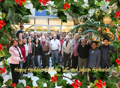 2008 Holiday