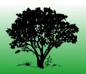 California Botanical Society Logo