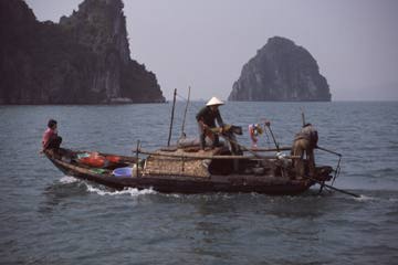 coastal scene